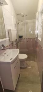 a bathroom with a shower and a sink and a toilet at One bedroom apartment 3558-5 in Žuljana