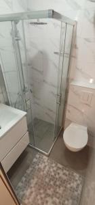 a bathroom with a shower with a toilet and a sink at Apartment with large terrace 3558-4 in Žuljana