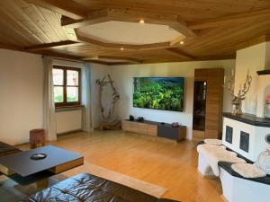 TV a/nebo společenská místnost v ubytování Habicht Ferienhaus