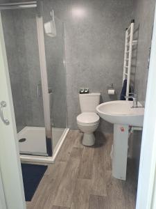 uma casa de banho com um WC, um lavatório e um chuveiro em Celtic Minor Stables em Swansea