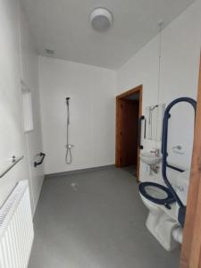 a bathroom with a toilet and a shower in it at Cwm Clyd - Carthouse in Rhayader