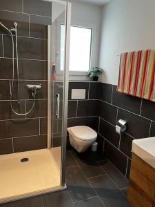a bathroom with a shower and a toilet and a sink at Studio an traumhafter Lage in Sigriswil