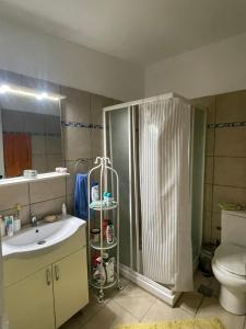 W łazience znajduje się prysznic, umywalka i toaleta. w obiekcie Vari little house w mieście Vari
