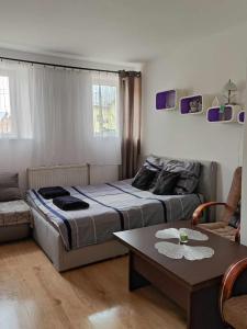 a bedroom with a bed and a table and a couch at Noclegi u Gosi in Jelenia Góra