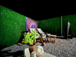 a room with a green wall with a chair and a plant at Tiny House Bungalow - Pool, Jacuzzi, Winter Garden in Izmir