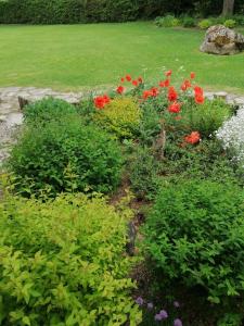 um jardim com flores vermelhas e plantas verdes em Villa River Rose em Jõesuu