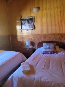 a bedroom with two beds and a mirror on the wall at Cabañas Vientos del Sur en Puerto Puyuhuapi Aysen in Puerto Puyuhuapi