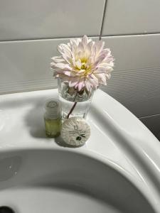 a flower in a glass vase on top of a sink at Casa Voje in Serra Rocco