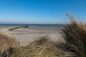 a sandy beach with tall grass and a pier at Kustverhuur, Oude manege Nieuwvliet, Nieuwvliet 10 in Nieuwvliet