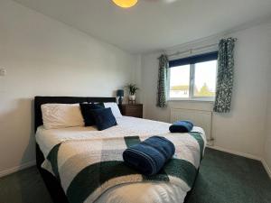 a bedroom with a bed with blue pillows on it at Blackwater Terrace Witham 