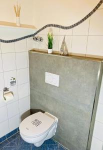 La salle de bains est pourvue d'une douche et de toilettes. dans l'établissement Villa Baltica Wohnung 02, à Dahme