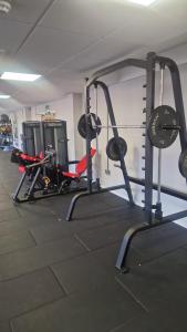 Spordikeskus ja/või sportimisvõimalused majutusasutuses Spacious and Bright Studio in East Grinstead
