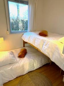 2 camas en una habitación con ventana en Vakantiebungalow Vrijzicht en Kortgene