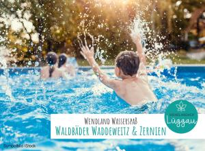 Bazén v ubytování Wendlandhof Lüggau nebo v jeho okolí