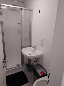 a bathroom with a sink and a shower and a toilet at Schöne Unterkunft in Lohberg mit Grillplatz und Balkon in Lohberg +10 photos
