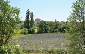 a large field of lavender with a building in the background at 3 Bedroom Gorgeous Home In Barjac in Barjac +33 photos