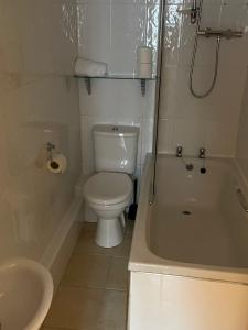 a bathroom with a toilet and a tub and a sink at The Calf Suite in Aberystwyth
