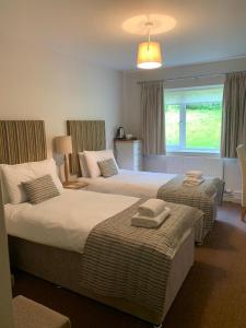a hotel room with two beds and a window at Llwyngwair Manor, Newport, PEMBROKESHIRE in Newport