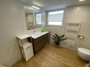 a bathroom with a sink and a toilet and a mirror at Haus Christina in Döllach