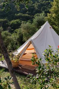 a teepee tent with a basket of plants in it at tendù family in Chiusanico