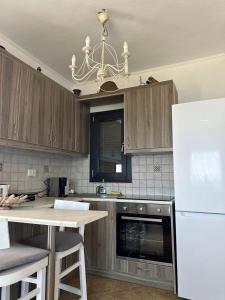 a kitchen with wooden cabinets and a white refrigerator at Sophia & Chris Studios in Santa Maria