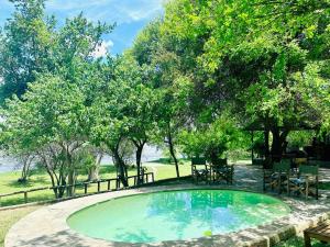 a small swimming pool in a yard with trees at Winterthorn Lodge in Chiawa