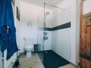 a bathroom with a toilet and a glass shower stall at Maisonnette en campagne au calme in Carpentras +13 photos