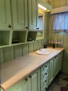 um balcão de casa de banho com um lavatório e um espelho em Koselig familiehytte ved Bardola em Geilo