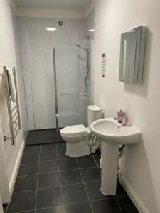 a bathroom with a toilet and a sink and a shower at Ty Bach in Aberystwyth +9 photos