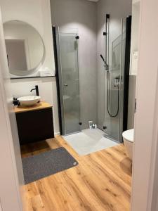 een badkamer met een douche en een wastafel bij Wohnung in Eutingen in Pforzheim