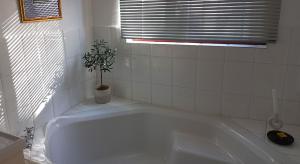 La salle de bains est pourvue d'une baignoire blanche et d'une plante en pot. dans l'établissement 19 on Robyn, à Durbanville