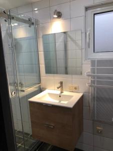 a bathroom with a sink and a shower and a mirror at Riviera Cottage in Comblain-au-Pont +11 photos