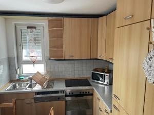 a kitchen with a sink and a microwave at Ferienwohnung Alex in Nusplingen