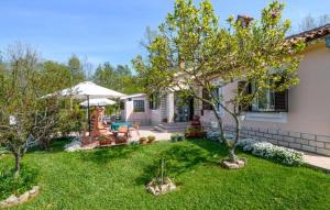 Κήπος έξω από το Apartman Marija
