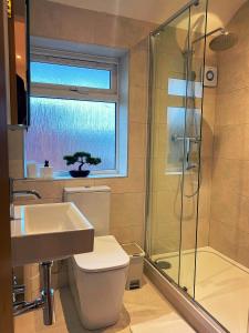 a bathroom with a toilet and a sink and a shower at 133C HiBrid Home in Oxford