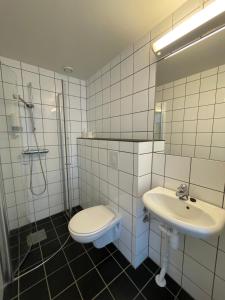 a bathroom with a toilet and a sink at Rauland Vandrerhjem Akademiet in Rauland