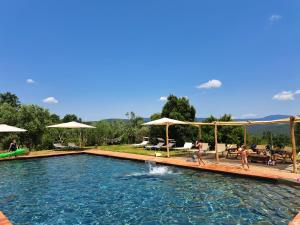 a swimming pool with people playing in the water at Agriturismo TerraMadre in Massa Marittima