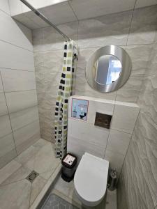 La salle de bains est pourvue de toilettes blanches et d'un miroir. dans l'établissement Lux kambarys centre su didele lova #2, à Kaunas