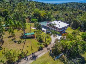 een luchtzicht op een groot huis met een tuin bij Rainforest Luxury Villa at El Yunque National Forrest in Benitez