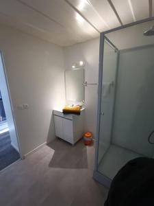 een badkamer met een douche, een wastafel en een spiegel bij Gîtes de la Gare - Les conteneurs in Plessé