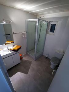 een badkamer met een douche, een wastafel en een toilet bij Gîtes de la Gare - Les conteneurs in Plessé