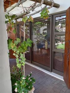 un patio con una ventana con persianas y una planta en LêPlek Guesthouse, en Saldanha