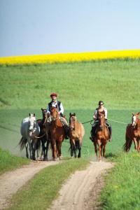 een groep mensen die paardrijden op een onverharde weg bij Cavalan Ranch 