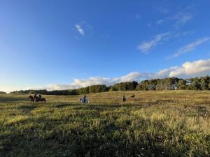 a group of people riding horses in a field at Cavalan Ranch in Wardow