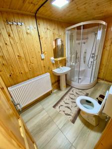 een badkamer met een douche, een toilet en een wastafel bij Cabana Elena in Gîrda de Sus