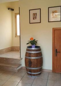 Ảnh trong thư viện ảnh của Casetta in Molise, L'Iperico ở Cerro al Volturno