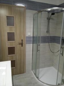 een douche met een glazen deur in de badkamer bij Ubytování Habartice in Habartice