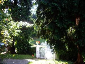 einen weißen Zaun in einem Garten mit Bäumen in der Unterkunft Villa Martha in Badenweiler