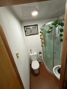 uma casa de banho com um chuveiro, um WC e um lavatório. em Casa roja em Fray Bentos