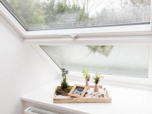 a skylight in a window with plants on a shelf at Gästehaus Moorblick in Osten